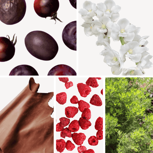 Preview: Duftnoten: Pflaume, weiße Blüten, Leder, Himbeere, Davana